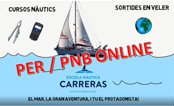 PEE i PNB Online